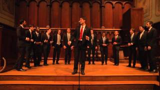 Bowdoin College Longfellows - All The Pretty Girls (Fun. cover)