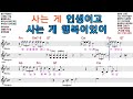 태진아 당신과 함께 갈 거예요 Elf 919 SNB TV 태진아 당신과 함께 갈 거예요 Elf 919 SNB TV