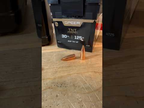 308 125gr Speer TNT Load 16” Barrel