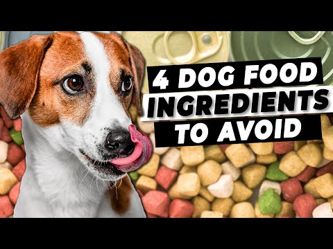 فيديو: تم استرجاع طعام Karma Dry Dog Food