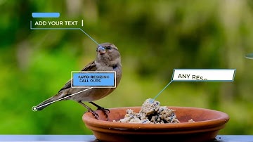 Auto-resizing Clean Call-outs V.3 | Davinci Resolve Template