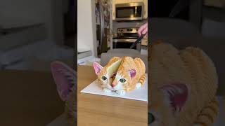 Orange cats only have one brain cell and it just short-circuited.