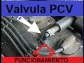 Lo que no sabes sobre la Valvula PCV de tu Auto IMPORTANTE!!