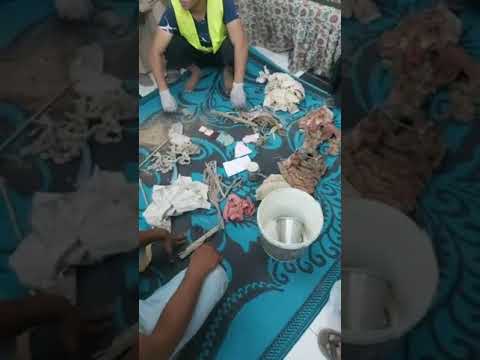 أخطر وأبشع أنواع السحر وإبطالها مع حملة تطهير المقابر بسوهاج قرية نزلة على الشيخ عبدالرحمن السنجق