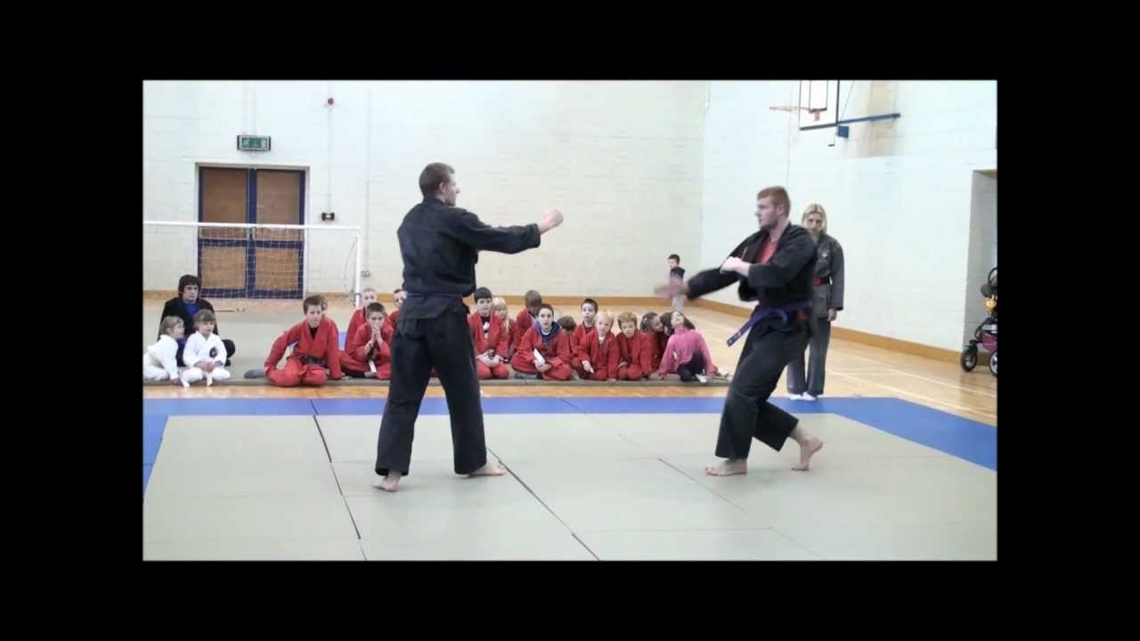 Jiu-Jitsu Lehrfilme des DJJV e.V.