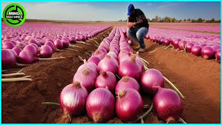 The Most Modern Agriculture Machines That Are At Another Level , How To Harvest Onions In Farm ▶8 screenshot 2