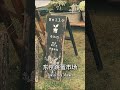 Tokyo November Flea Markets 2025 | Ultimate Autumn Antique & Vintage Guide｜11月東京最大戶外跳蚤市集预告｜秋季古物尋寶全攻略