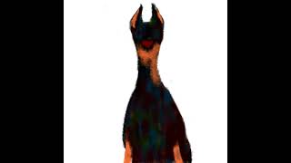 doberman