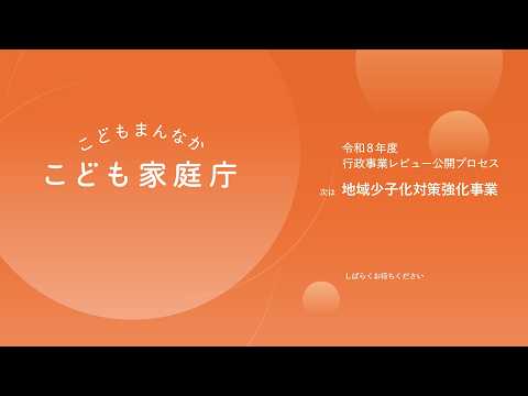 令和8年度こども家庭庁行政事業レビュー公開プロセス 地域少子化対策強化事業