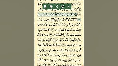 ماتيسر من سورة الزخرف للقارئ أحمد عبدالرازق نصر من مسجد العدوى