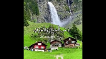 وضرب الله مثلا قري😇🌸القارئ عبد الرحمن مسعد♡حالات واتساب دينية♡مقاطع اسلامية♡قصيره انستا انستغرام♡