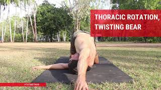Thoracic Rotation, Twisting Bear