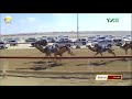 الشوط 1 كأس مذيار لـ أحمد الحزمي بن قناص العامري مهرجان ختامي الوثبة 2019 02 20 حقايق إنتاج مساء