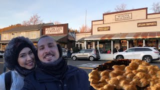 Let’s go to julian, ca a mountain getaway for some apple pie in the
winter time. this small town has visitors coming from san diego all
year long. come with ...