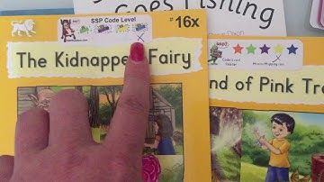 Teaching a multi-age primary class to read and spell with decodable readers