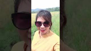 Download Lagu Natalan di desa MP3