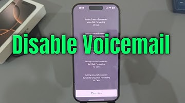 iPhone 16/16 Plus/16 Pro/Max: How to disable voicemail