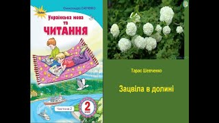 Зацвіла в долині... – Тарас Шевченко