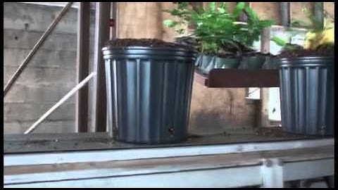 Flat Filler Pot Filler and Tray Filler