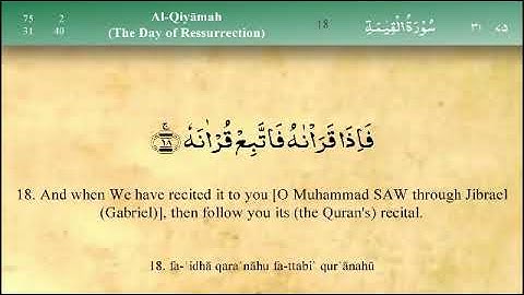 Sourate Al-Qiyama سورة القيامة - Abderrahman Al Shahat عبد الرحمن الشحات