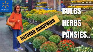 What to Plant in October | Walmart Shop with Me #perennials