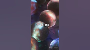 Exploring The Multiverse Theory 🌌