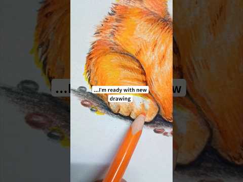 Best lion drawing 🎨 ever | #lion #cat #cats #drawing #art #sketch #shorts #ytshorts