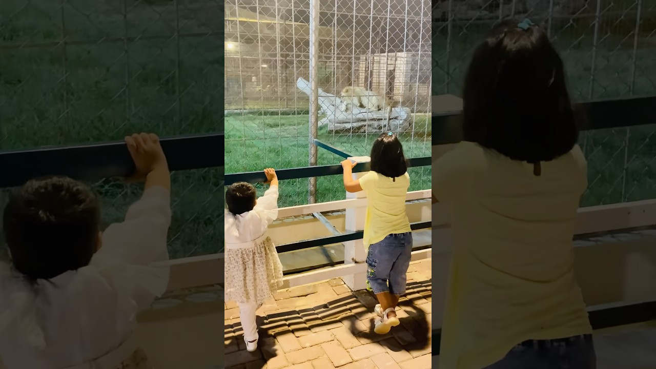 Hoor&Noor || Lion🦁|| Zoo || 