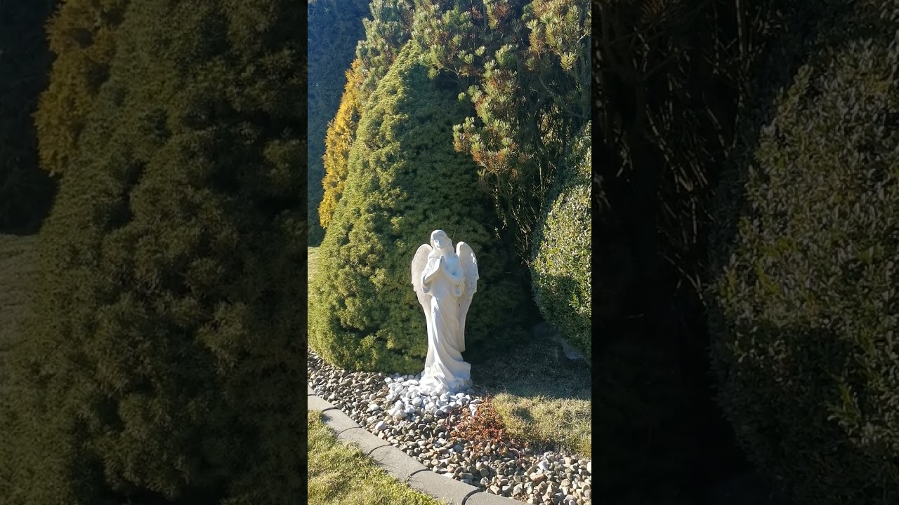 Promluva k vám všem 💓