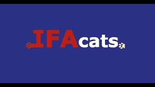 IFAcats - объединение израильских клубов любителей кошек. by IFAcats 324 views 3 years ago 3 minutes, 37 seconds