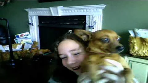 brinde my new dog