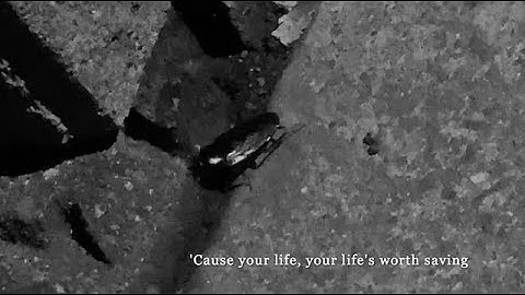 Marc Lowe - "Chaos" Through the Years: Versions (2018-2025) (Music videos)