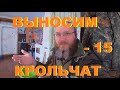 Выносим крольчат в крольчатник.