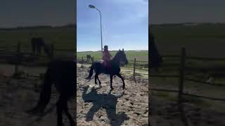 Download Lagu #horse , samen met Nadia rijden op Kris,.en Black🍀😃 MP3 Download Lagu #horse , samen met Nadia rijden op Kris,.en Black🍀😃 MP3