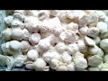 Лепим пельмени из индюшиного фарша!