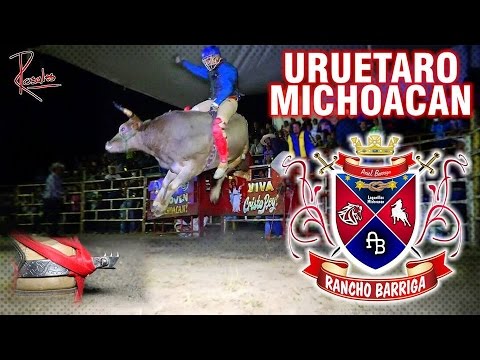 SIGUE ENTRANDO POR LA PUERTA GRANDE RANCHO BARRIGA EN URUETARO rancho viejo