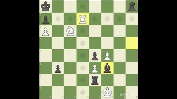 Chess: As The Mating Net Turns...