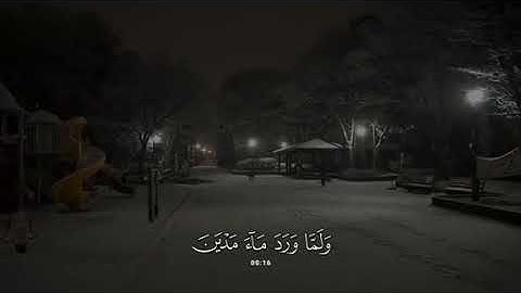 جزء 1 | تلاوة هادئة آيات من سورة القصص بصوت جداً جميل  - محمد بو حسون ✨ .