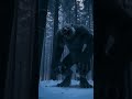 SaveSora video 1762716785517