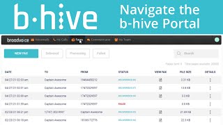 Navigate the b-hive Portal screenshot 5