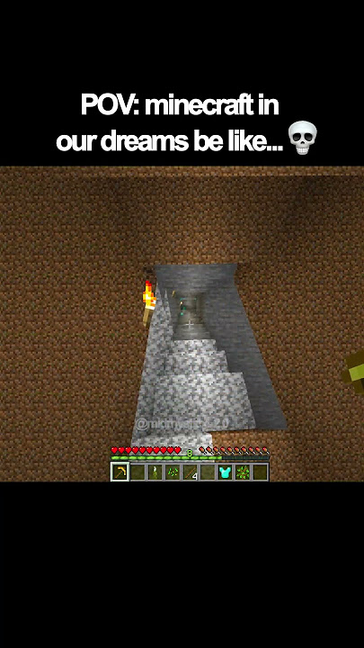 POV: minecraft in our dreams be like...