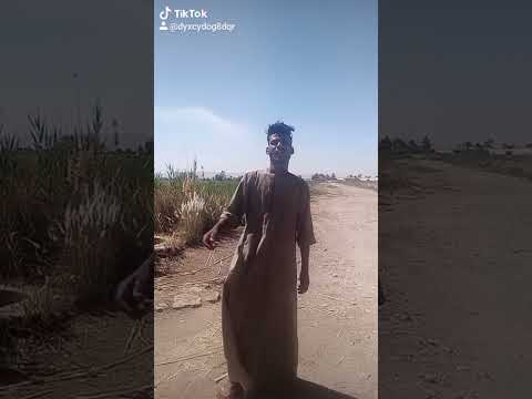 فارس البرنس الصعيدي وبس