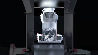 Raymond mill can grind any stone into powder!#Limestone #clinker #coal #salt #alumina #gypsum