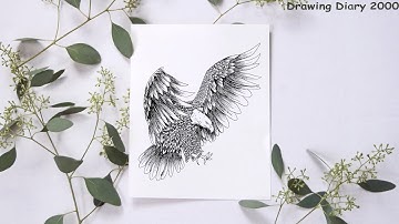 How To Draw An Eagle On Menhora Sketchbook