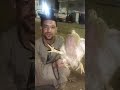 سبحان الله العظيم يخلق ما لا تعلمون فرخه بتلت رجلين