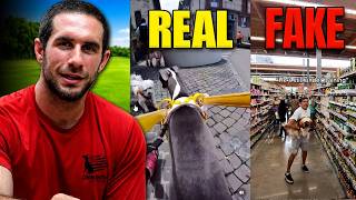 Fake Service Dogs Are Ruining It for Everyone..