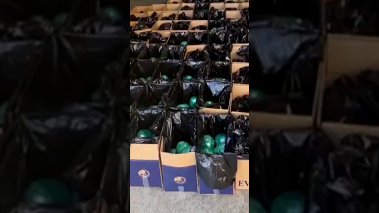 DEA seizes 2,000 pounds of meth hidden in cabbages