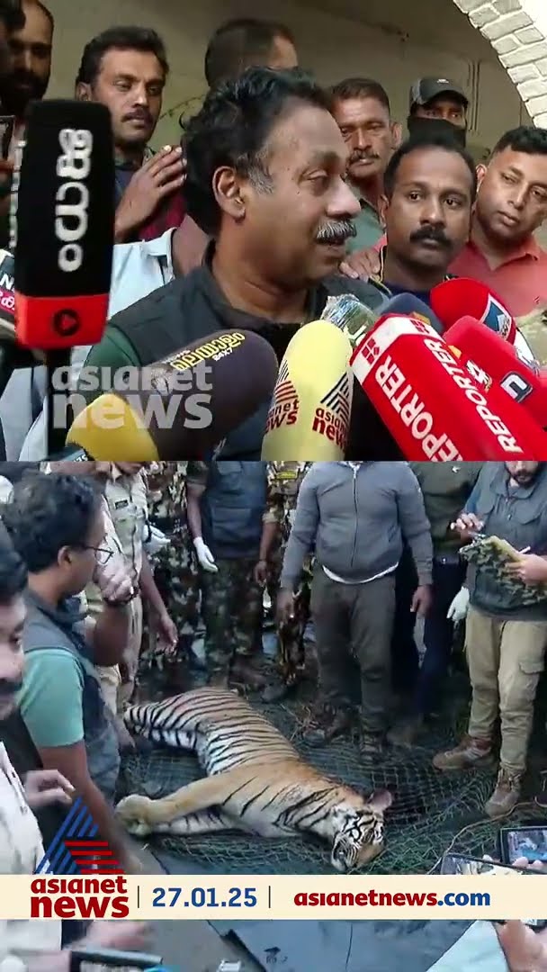 'നല്ല ആക്രമണം നടന്നിട്ടുണ്ട്, വലിയ മുറിവാണ് കടുവയുടെ ശരീരത്തിലുള്ളത്'; ഡോ അരുണ്‍ സഖറിയ
