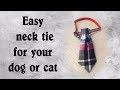 HOW TO MAKE EASY NO SEW DOG/CAT NECK TIE