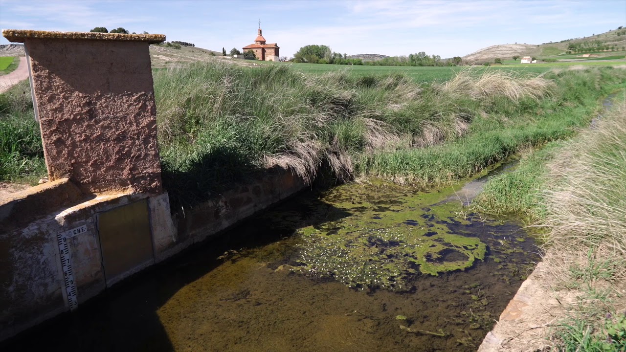 Video promocional del proyecto AgroSOS (2020-2024) en su ámbito de Gallocanta.